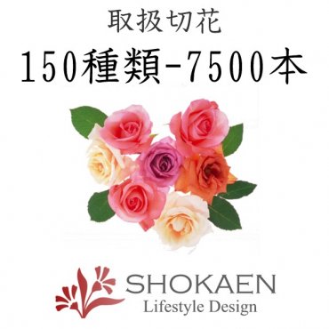 「正花園」　（石川県金沢市）の花屋店舗写真3