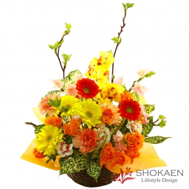 【アレンジ682】ロイン（Y/O/G）