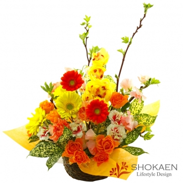 【アレンジ682】ロイン（Y/O/G）