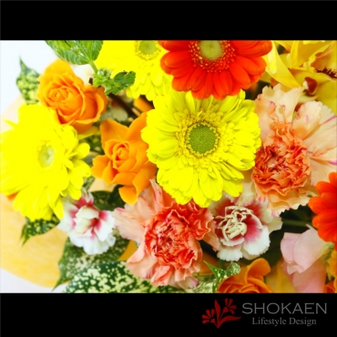 【アレンジ682】ロイン（Y/O/G）