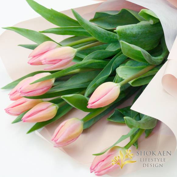 【花束0108】ラベイユ（P）