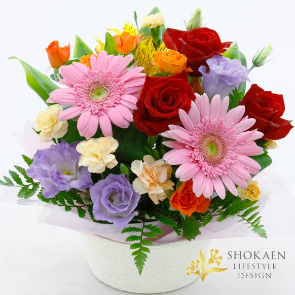 【アレンジ0124】ルゼルプ（P/R）