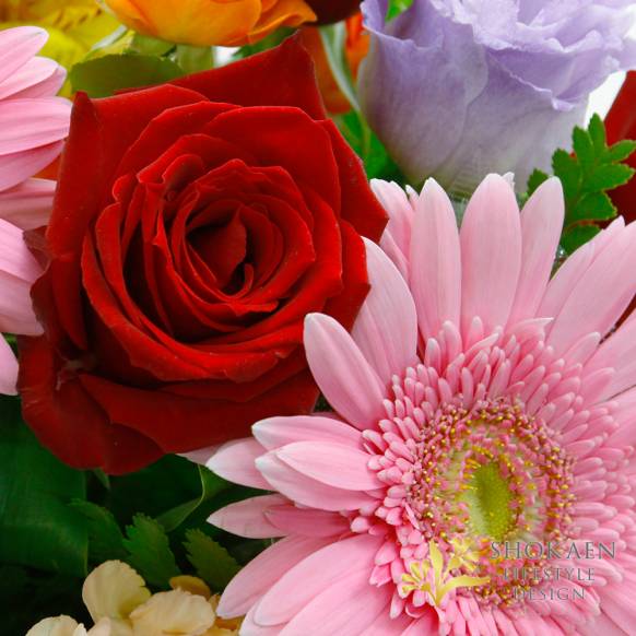 【アレンジ0124】ルゼルプ（P/R）