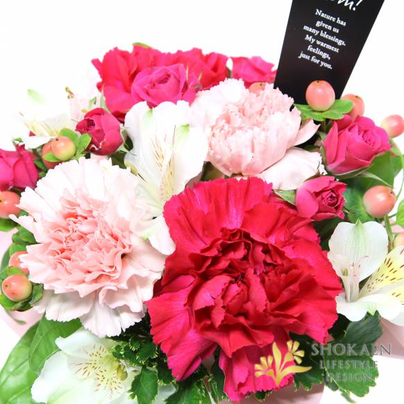 【母の日アレンジ】グラティチュード（B）ローズクォーツ