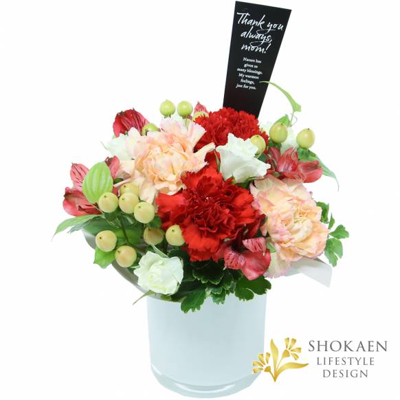 【母の日アレンジ】グラティチュード（C）ルビー