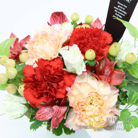 【母の日アレンジ】グラティチュード（C）ルビー