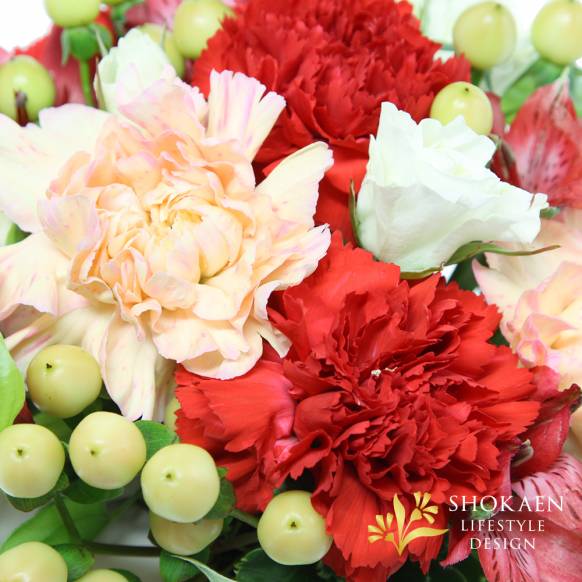 【母の日アレンジ】グラティチュード（C）ルビー