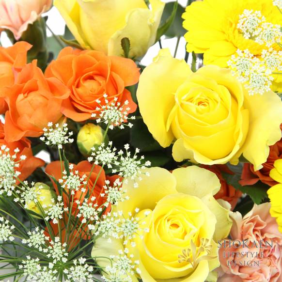 【母の日アレンジ】アムール（B）シトリン