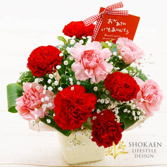 【母の日】カーネーションとかすみ草のアレンジ
