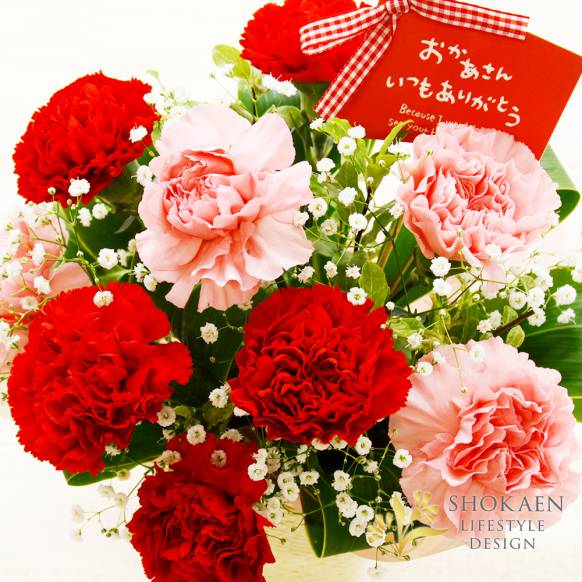 【母の日】カーネーションとかすみ草のアレンジ