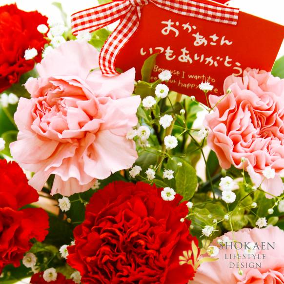 【母の日】カーネーションとかすみ草のアレンジ