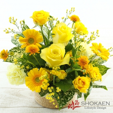 【アレンジ861】トロワロス（Y）