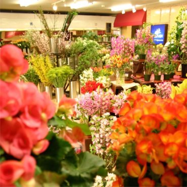 「正花園」　（石川県金沢市）の花屋店舗写真2